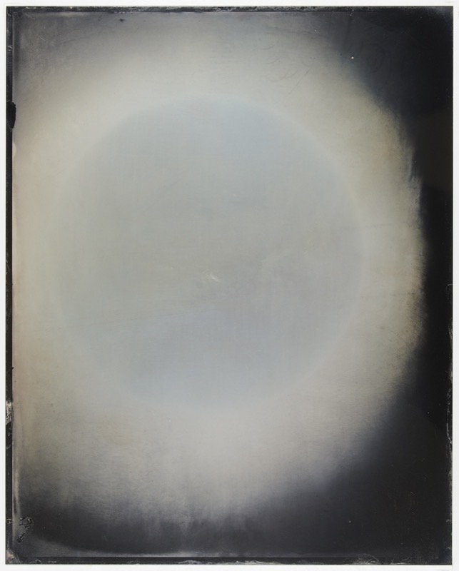 Sun #16 by Melissa Coote at Olsen Gallery