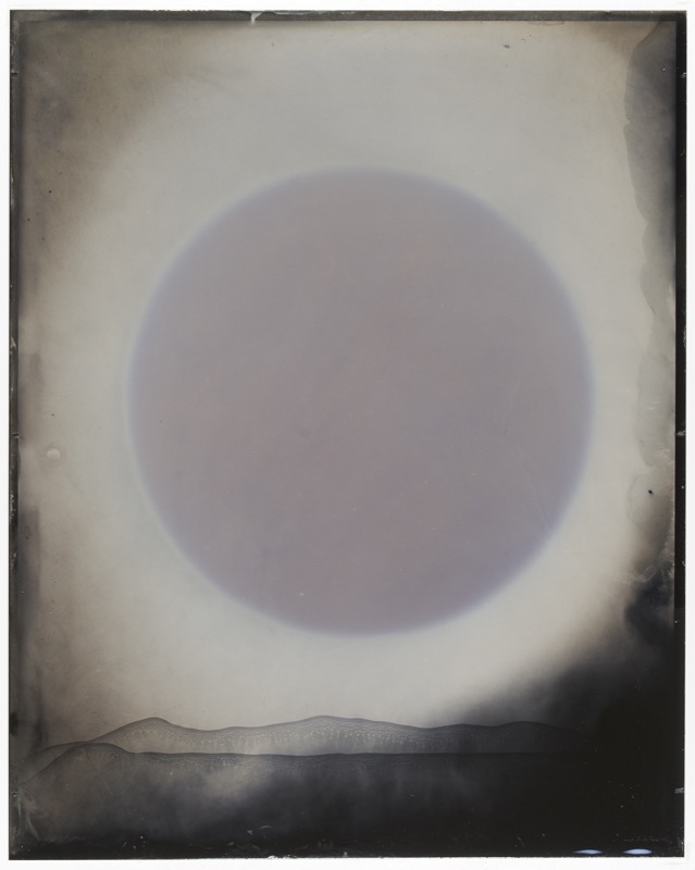 Sun IV by Melissa Coote at Olsen Gallery