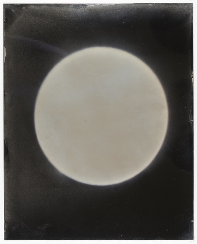 Sun #39 by Melissa Coote at Olsen Gallery