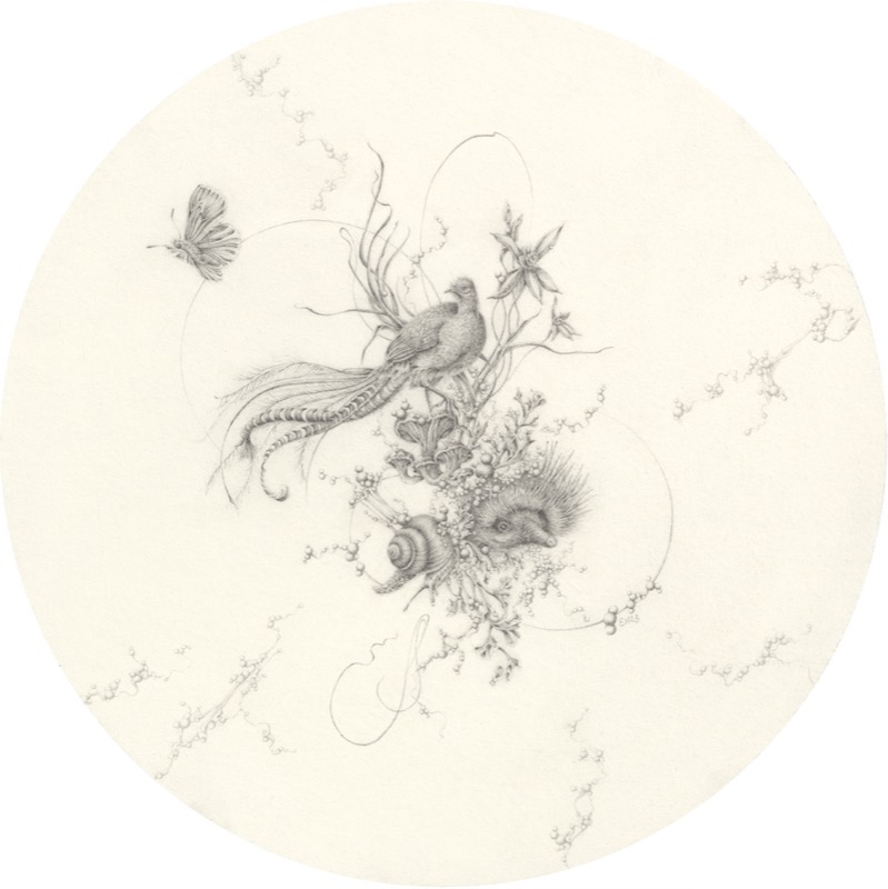 Lyre Bird and Short-beaked Echidna by Eva Nolan