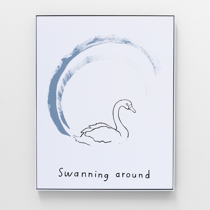 Swanning Around (2) Pittock