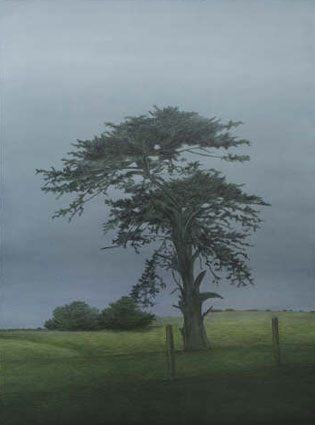 West Coast Cypress by Kathryn Ryan at Olsen Gallery