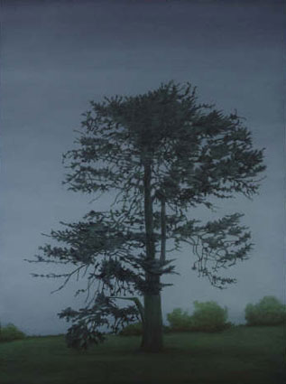 Rosebrook Cypress by Kathryn Ryan at Olsen Gallery