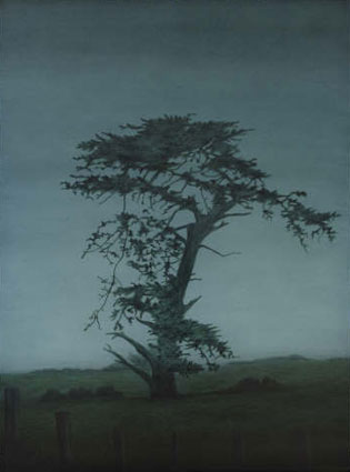 Coastal Cypress by Kathryn Ryan at Olsen Gallery