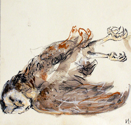 Owl V by Luke Sciberras at Olsen Gallery