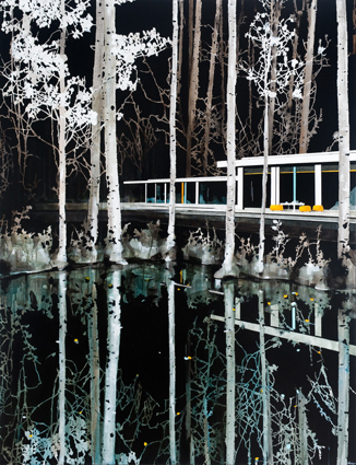 Night Forest Reflection Davies