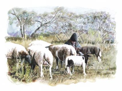 Becoming a shepherd, first flock Hood