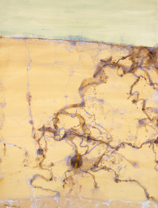 Lake Eyre- The Desert Sea IV by John Olsen at Olsen Gallery