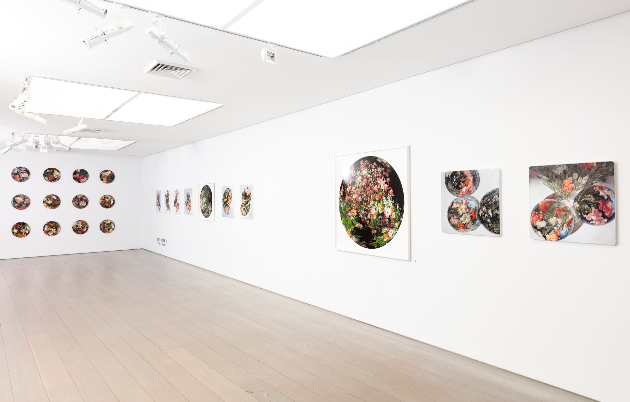 The Spheres of Narcissus