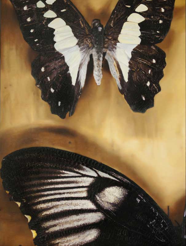 Artwork: Study for Anamnesis V