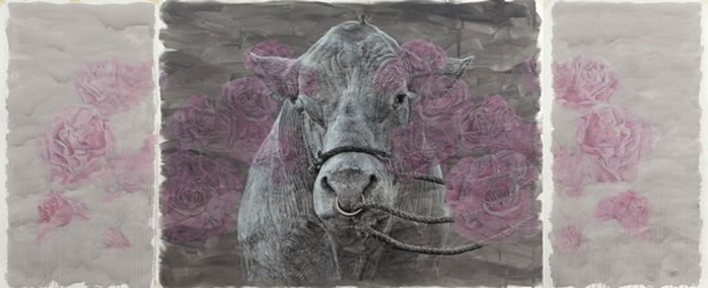 Artwork: Bovine Dreaming triptych
