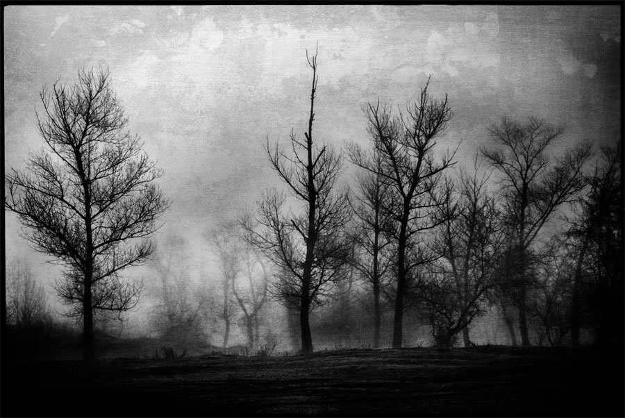 Artwork: 1000 Years Beside Myself 7