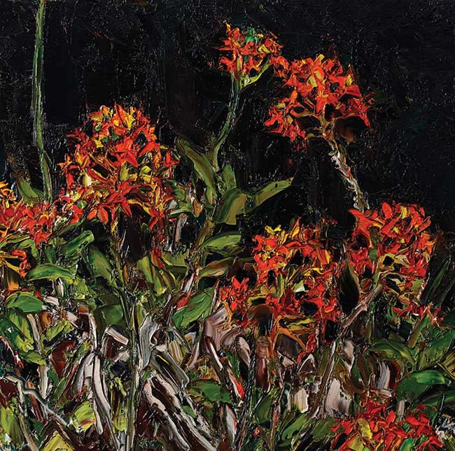 Artwork: Wooli Garden crucifix orchids 2