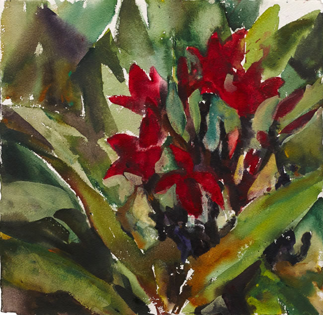 Artwork: Wooli Garden fuchsia frangipani 2