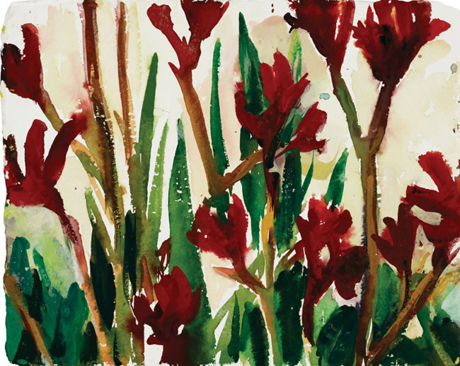 Artwork: Kangaroo paws 2