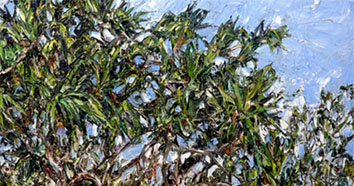 Nicholas Harding 2013