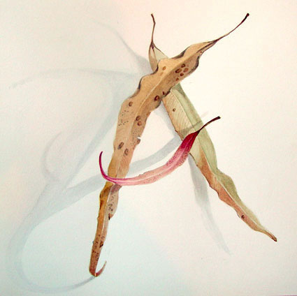 Artwork: Gum Leaves I