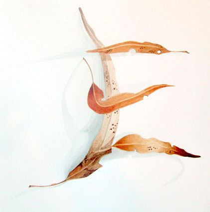 Artwork: Gum Leaves V