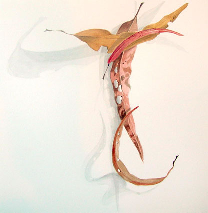 Artwork: Gum Leaves XX