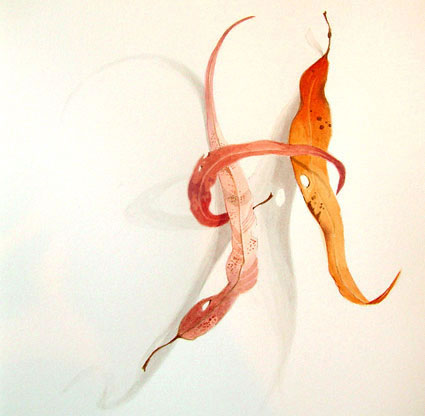 Artwork: Gum Leaves VIII