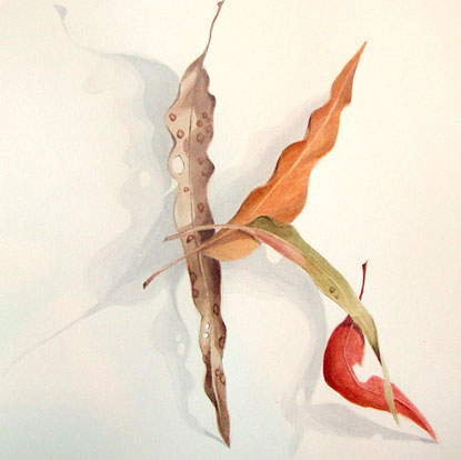 Artwork: Gum Leaves XI