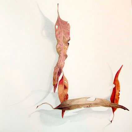 Artwork: Gum Leaves XII