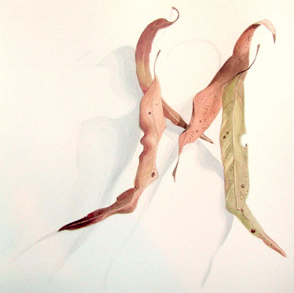 Artwork: Gum Leaves XIII