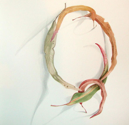 Artwork: Gum Leaves XVII