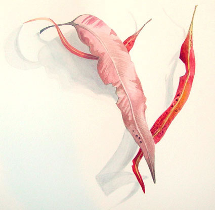 Artwork: Gum Leaves XXII