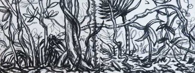 Artwork: Drawing c1995 rainforest