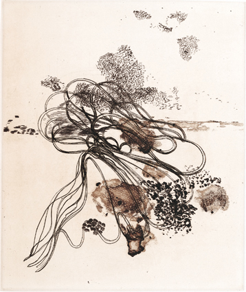 Artwork: Large Plain 7