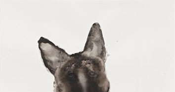 Fiona McMonagie 2013