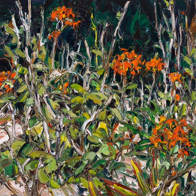 Artwork: Wooli Garden crucifix orchids 4