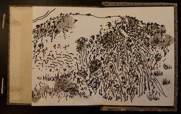 Artwork: To Fowlers Gap and Back April 2011 drawings from Fowlers Gap North of Borken Hill