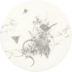 Look Out for Eva Nolan | Art Collector