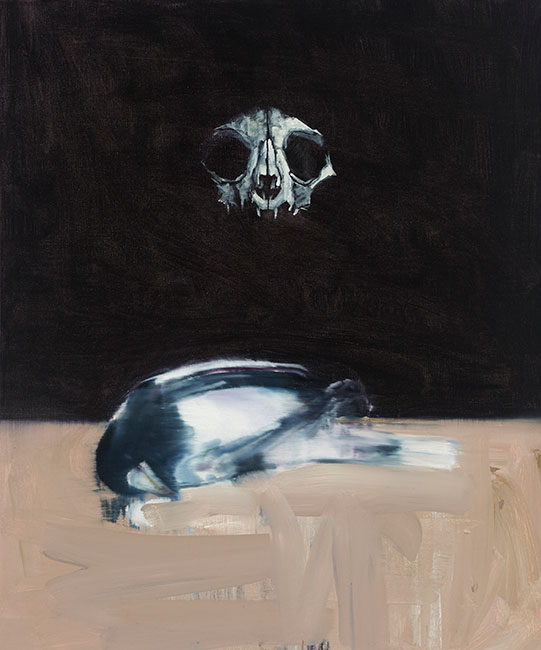 Artwork: Cat Dreaming