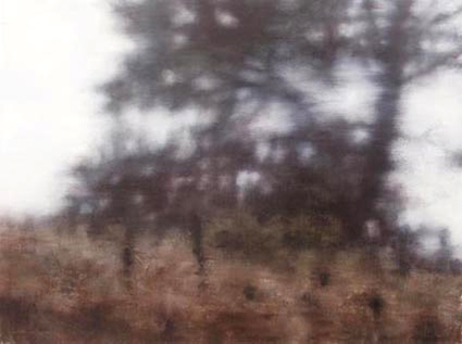 Artwork: Conifer Captains Flat