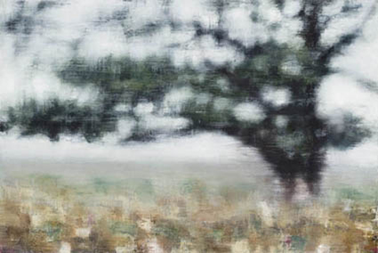 Artwork: Conifer Braidwood III