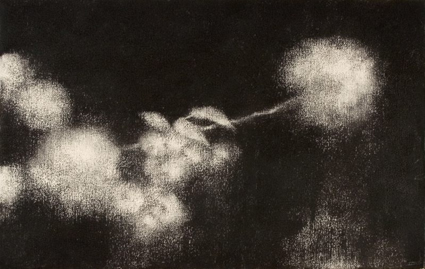 Artwork: Breeze of the Blossoms