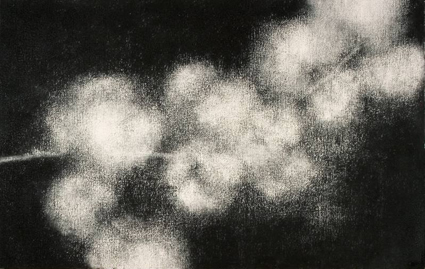 Artwork: Cherry Blossom Branch I