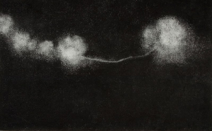 Artwork: Family of Flowers