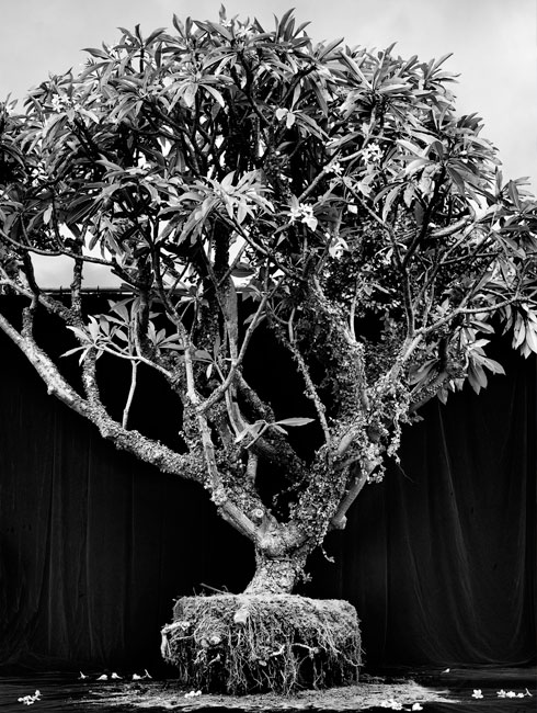 Artwork: Artesin Basin