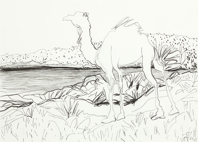 Artwork: Explorers sketchbook 19