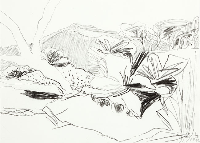 Artwork: Explorers sketchbook 5