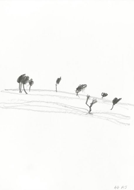 Artwork: Fowlers Gap series 44