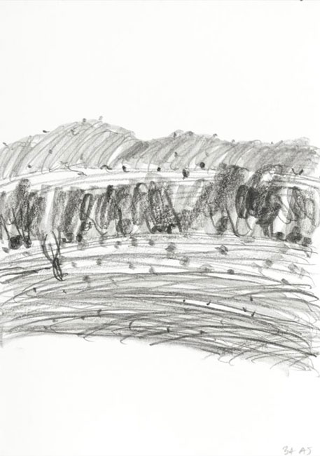 Artwork: Fowlers Gap series 34