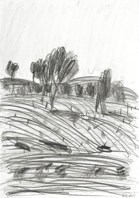 Artwork: Fowlers Gap series 22