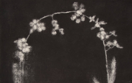 Artwork: Orchids End