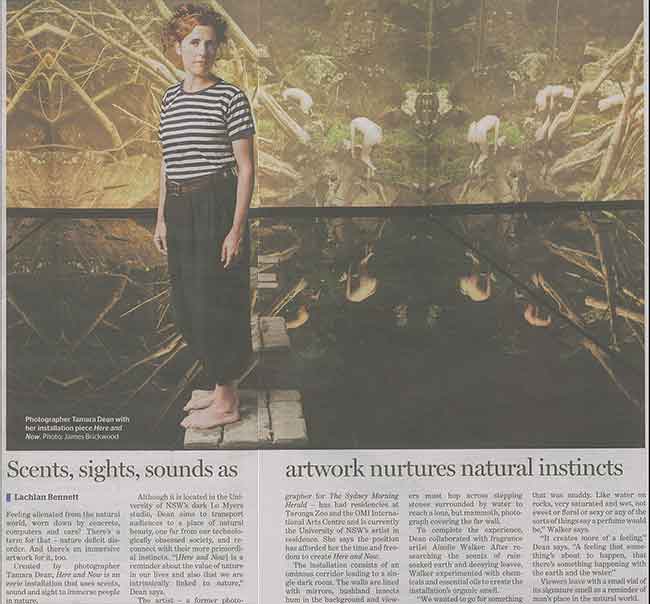 Scents, sights, sounds as artwork nurtures natural instincts