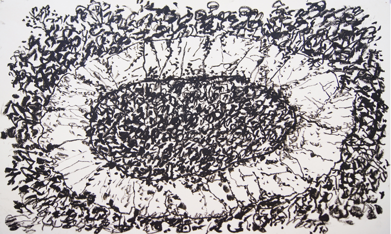 Artwork: Galapagos Drawing